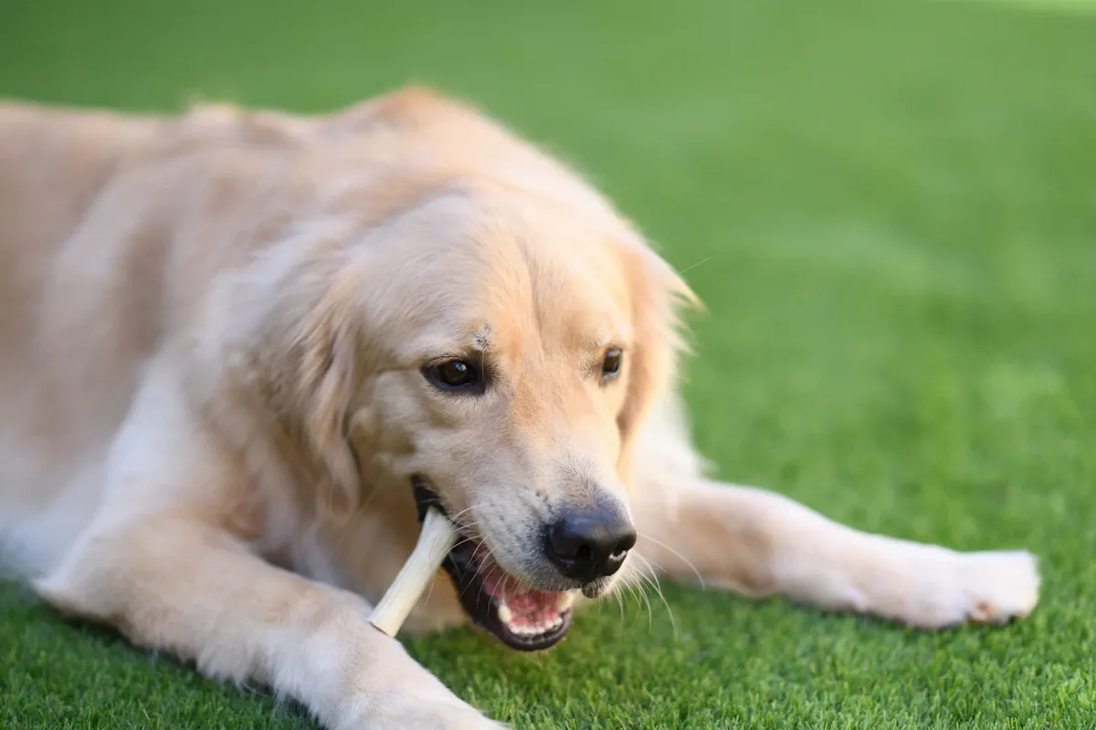 work detail thumb image